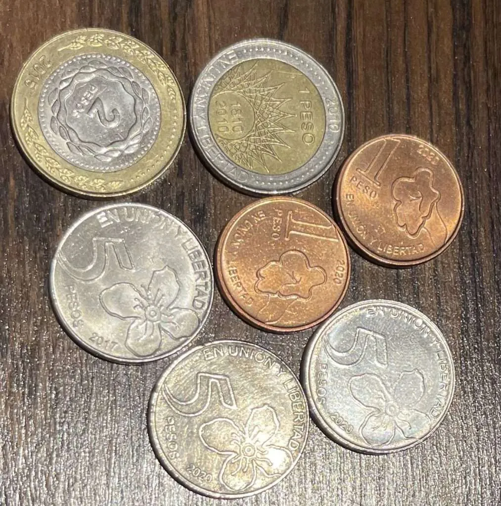 Argentina Coins