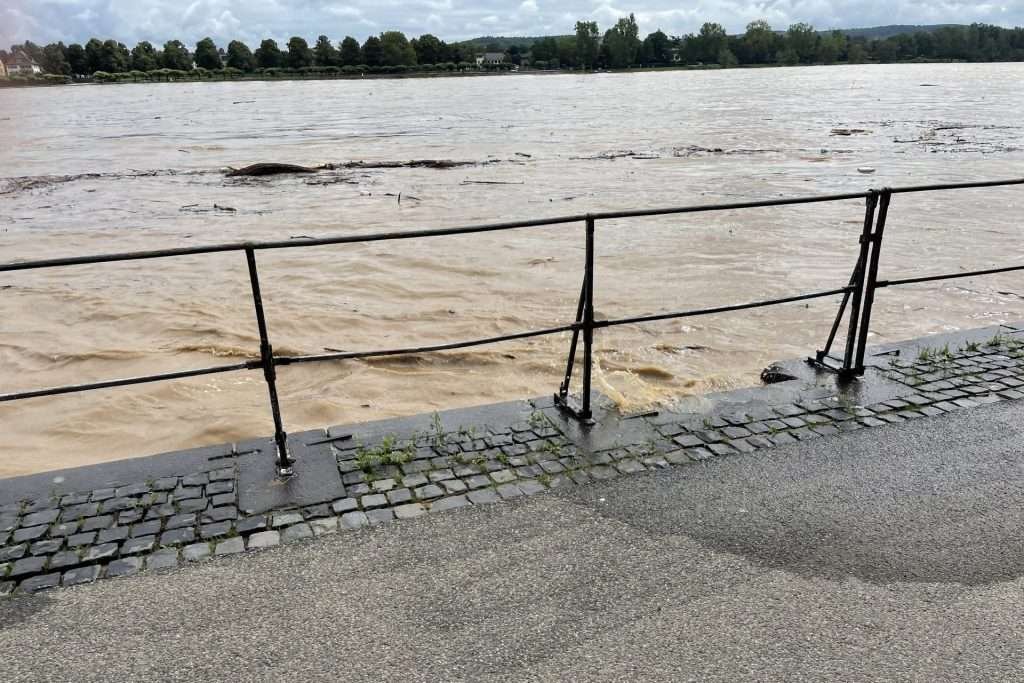Rhine 2021