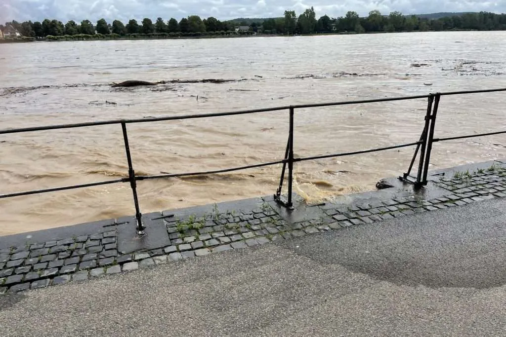 Rhine 2021