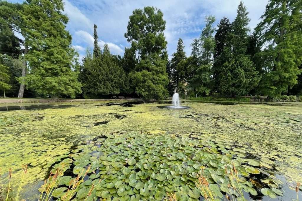 Botanical Garden Bonn Germany