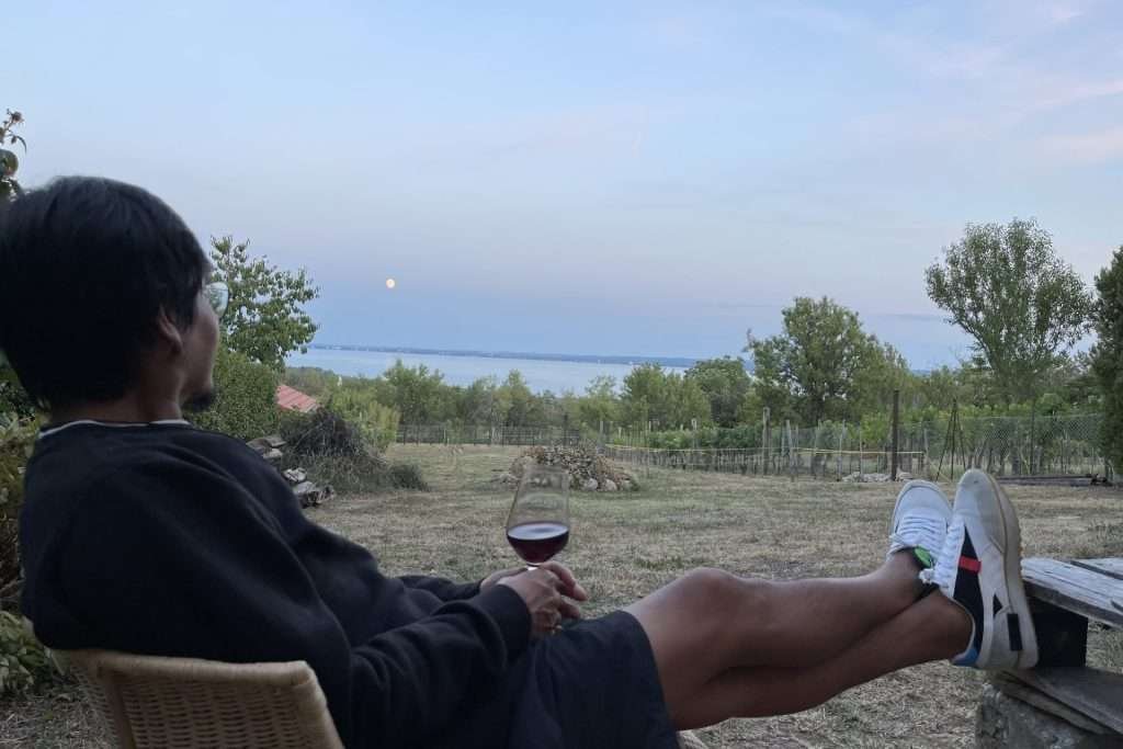 Wine and barbecues in Balatonfüred Hungary