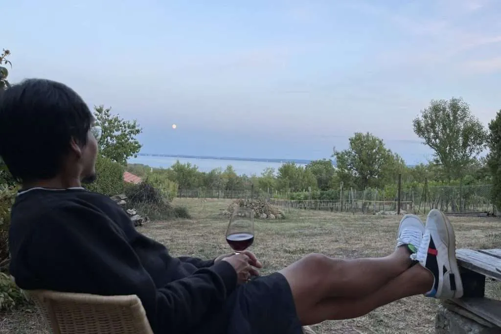 Wine and barbecues in Balatonfüred Hungary