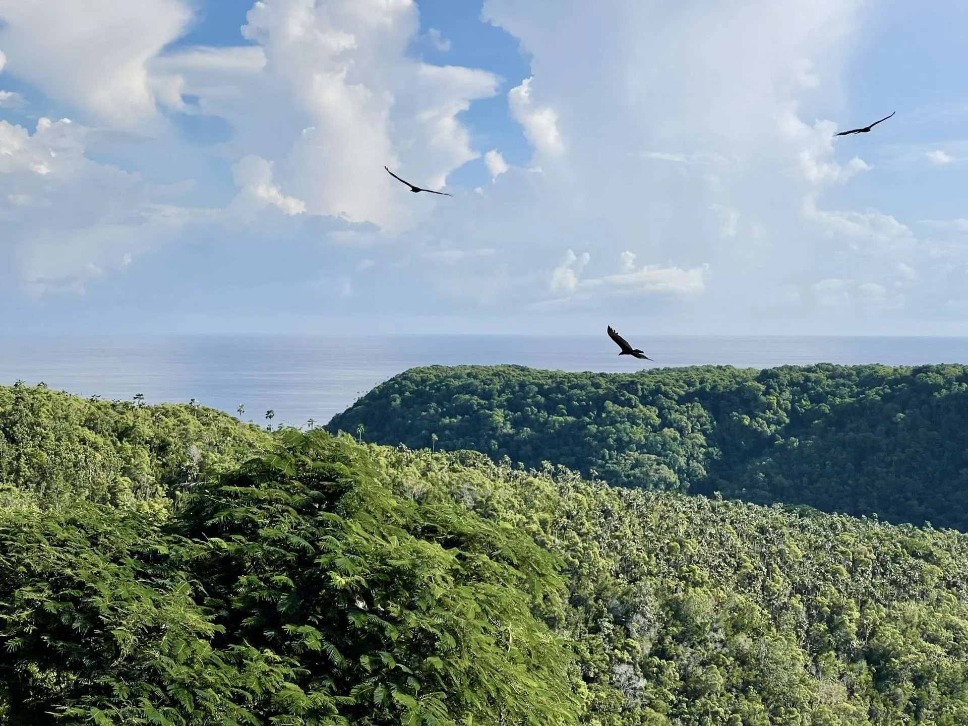 Transfers Between Havana and Varadero Cuba