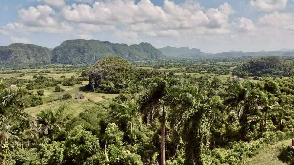 View from Hotel Los Jazmines, Viñales Valley, Viñales Cuba