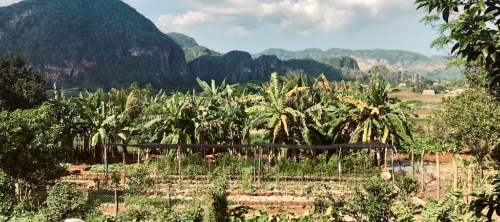 View of Viñales from the Mogote Café