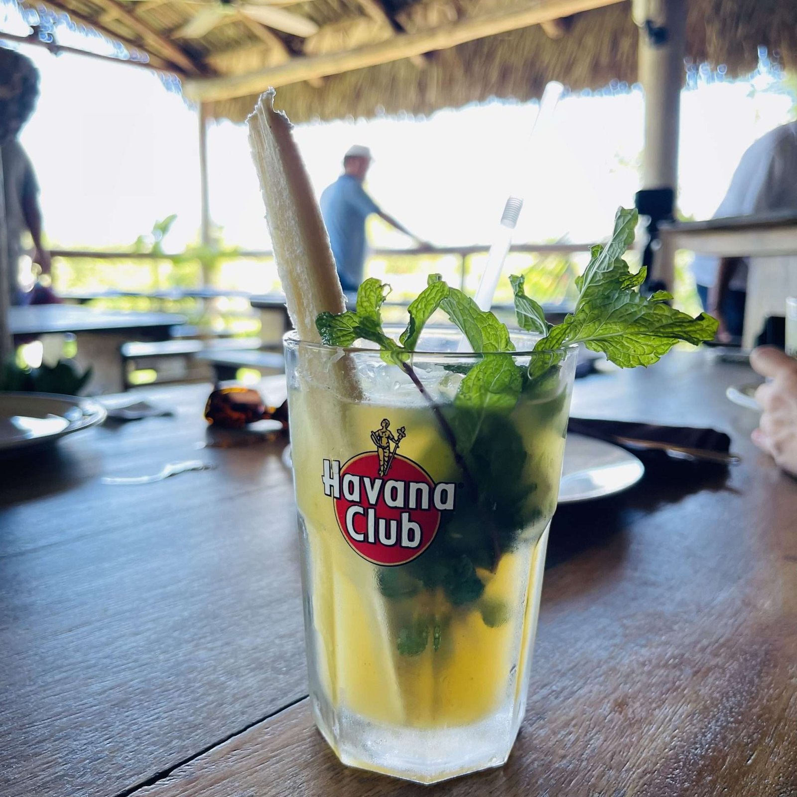 Mojito at Finca Vista Hermosa, a Cuban farm to table restaurant near Havana Cuba