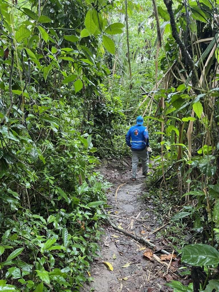 Exploring the amazon rainforest on Monkey Island in Tambopata (isla de los monos)