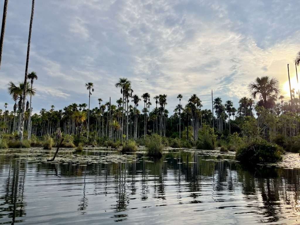 Lake Yacumama tours in Puerto Maldonado Peru