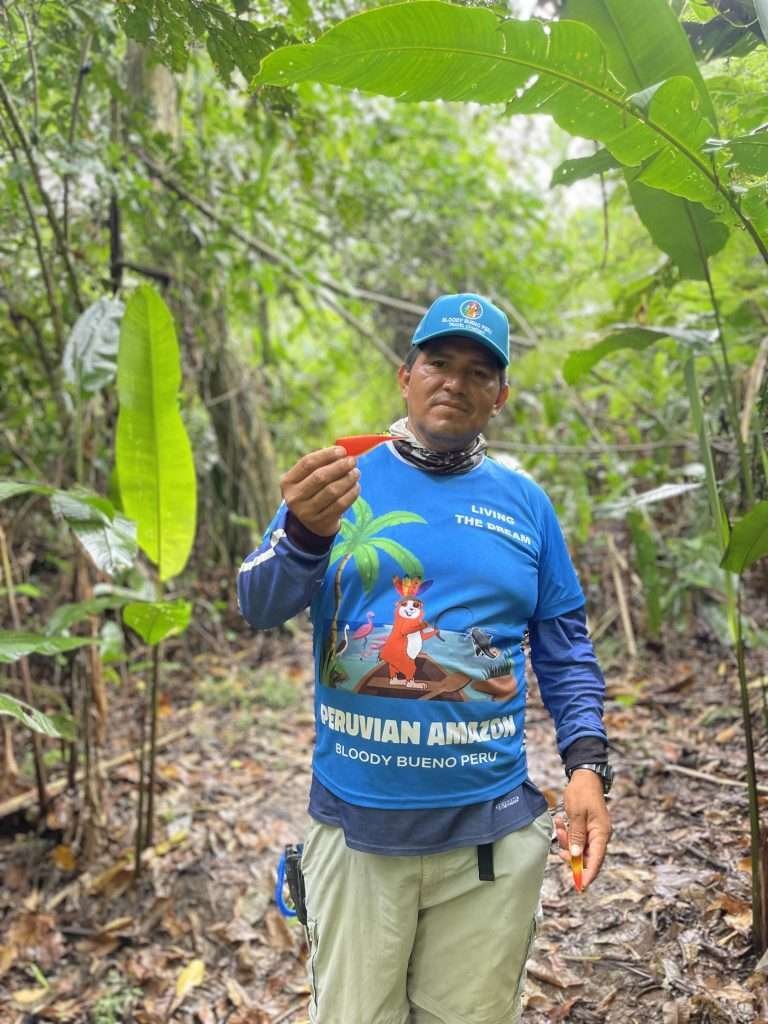 Percy explaining plants on Monkey Island in Tambopata (isla de los monos)