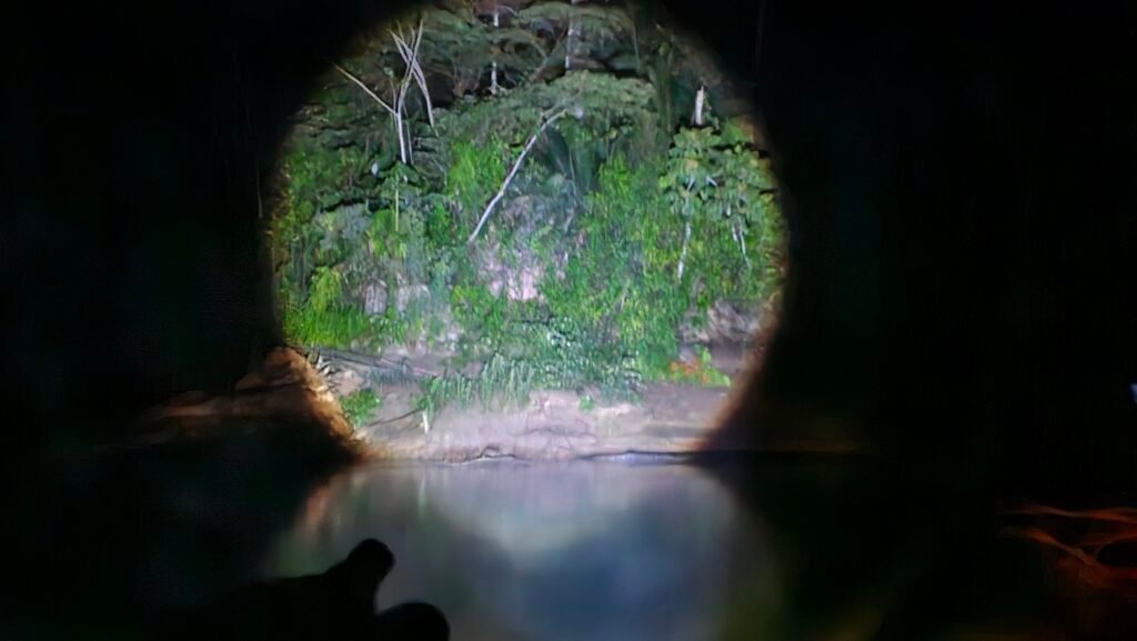 Using a high-powered spotlight on the Amazon river at night to locate wildlife.