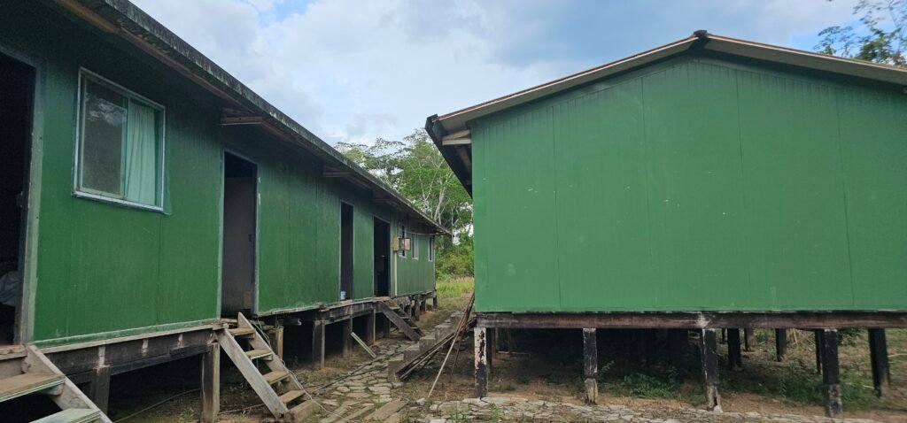 Functional green lodge housing elevated on stilts in the remote Tambopata jungle.