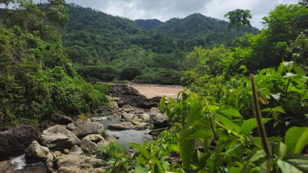 A view of a silt-heavy, brown river flowing through the dense green mountains of the Camanti Cloud Forest in Peru, seen from the Interoceanic Highway during the descent from Cusco to the Amazon.