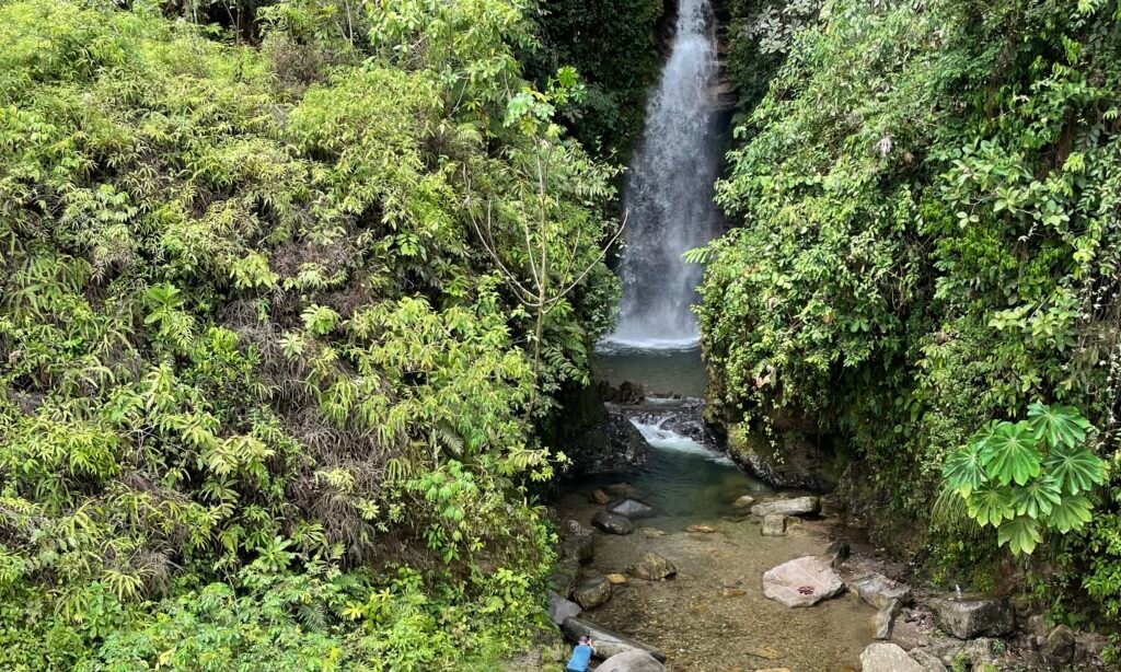 A scenic waterfall surrounded by dense, lush vegetation in the Camanti Cloud Forest, Peru.