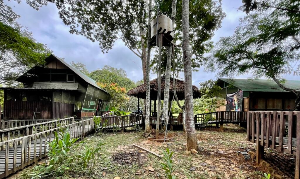 Exterior view of jungle lodge buildings constructed on stilts to manage rainforest moisture.