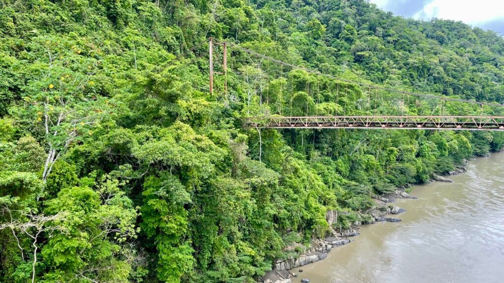 An abandoned metal suspension bridge being slowly overgrown by dense jungle vines and tropical foliage in Peru.
