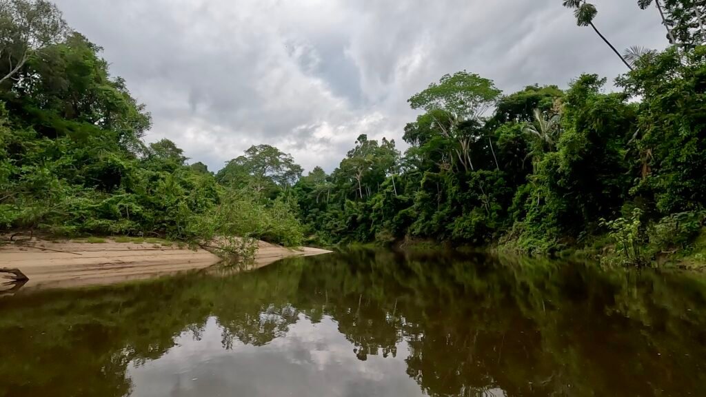 A dramatic view of a narrow, quiet water estuary cutting into a dense flooded forest tunnel off the main Madre de Dios River under a breaking sky.