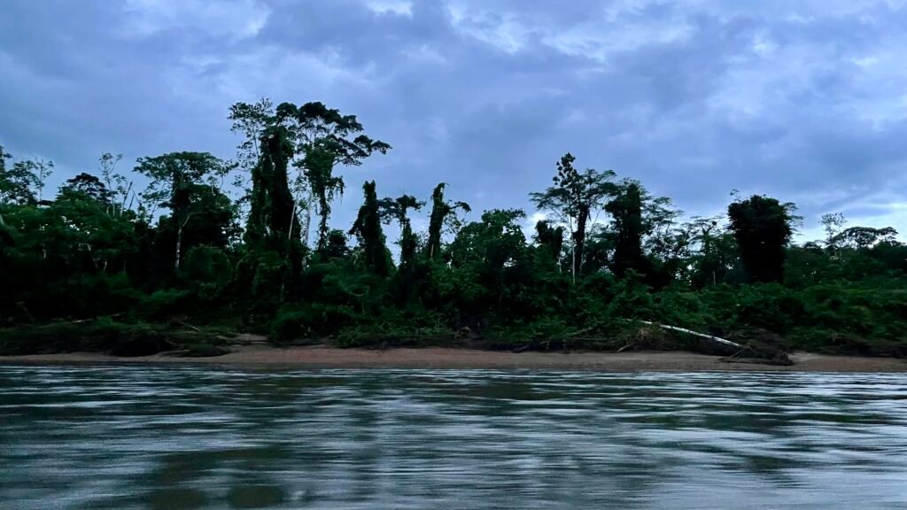 Dense tropical rainforest lining the banks of the Madre de Dios River under an overcast sky.