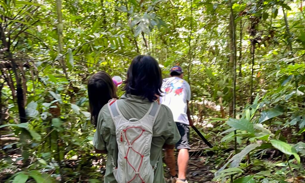 A local guide, Aileed, using a machete to hack a path through dense Amazon jungle foliage ahead of a man carrying his young daughter