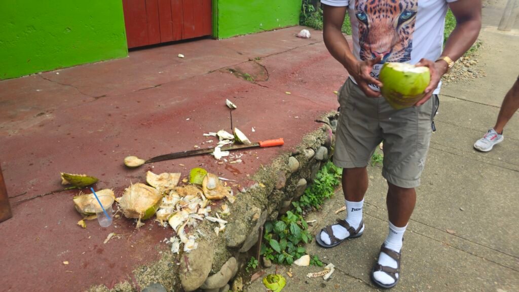 A local vendor using a machete to open fresh green coconuts at a roadside stand in the humid Peruvian jungle.