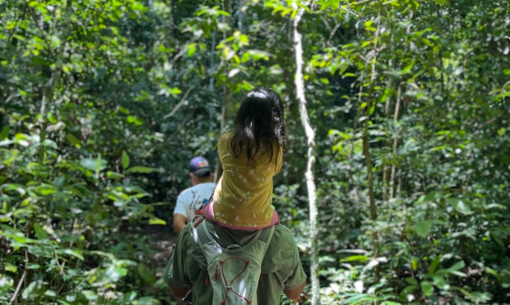 A cinematic view from behind on a narrow jungle trail, with local guide Aileed leading the way through dense, towering green Amazon rainforest foliage ahead of Marco and his daughter.
