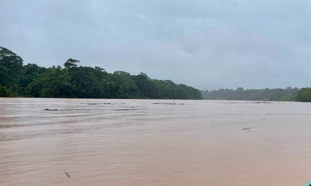 Silt-heavy Tambopata river under a flat grey sky during the peak of the Peruvian rainy season.