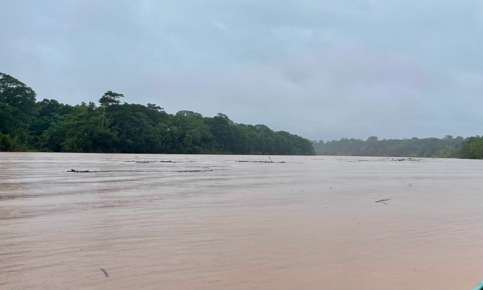 Silt-heavy Tambopata river under a flat grey sky during the peak of the Peruvian rainy season.