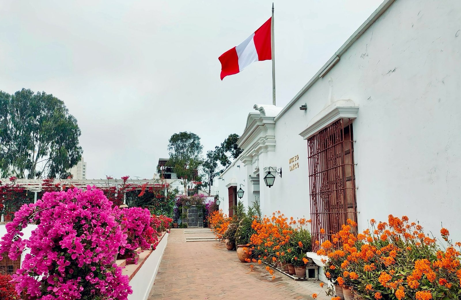 The historic white exterior of the Larco Museum in Pueblo Libre, Lima, decorated with vibrant pink bougainvillea and the Peruvian flag.